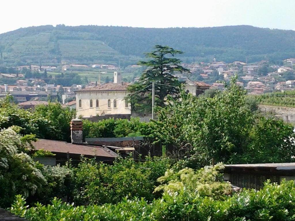 Agriturismo Corte Galvani Negrar Dış mekan fotoğraf
