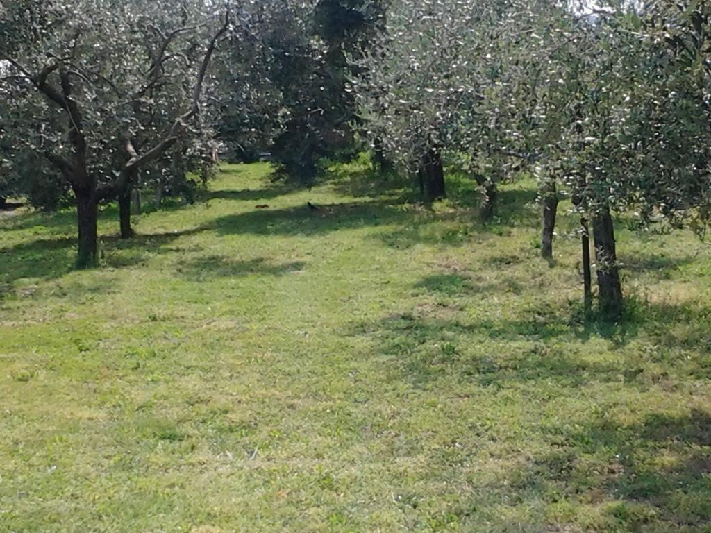 Agriturismo Corte Galvani Negrar Dış mekan fotoğraf